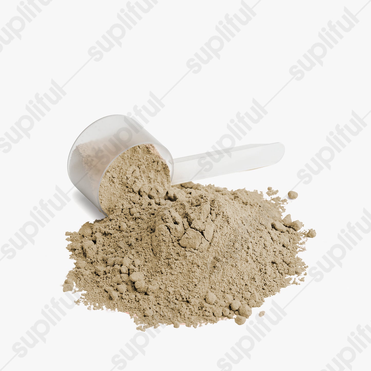 Plant Protein (Vanilla)