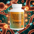CoQ10 Ubiquinone