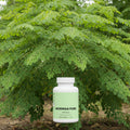 Moringa Pure
