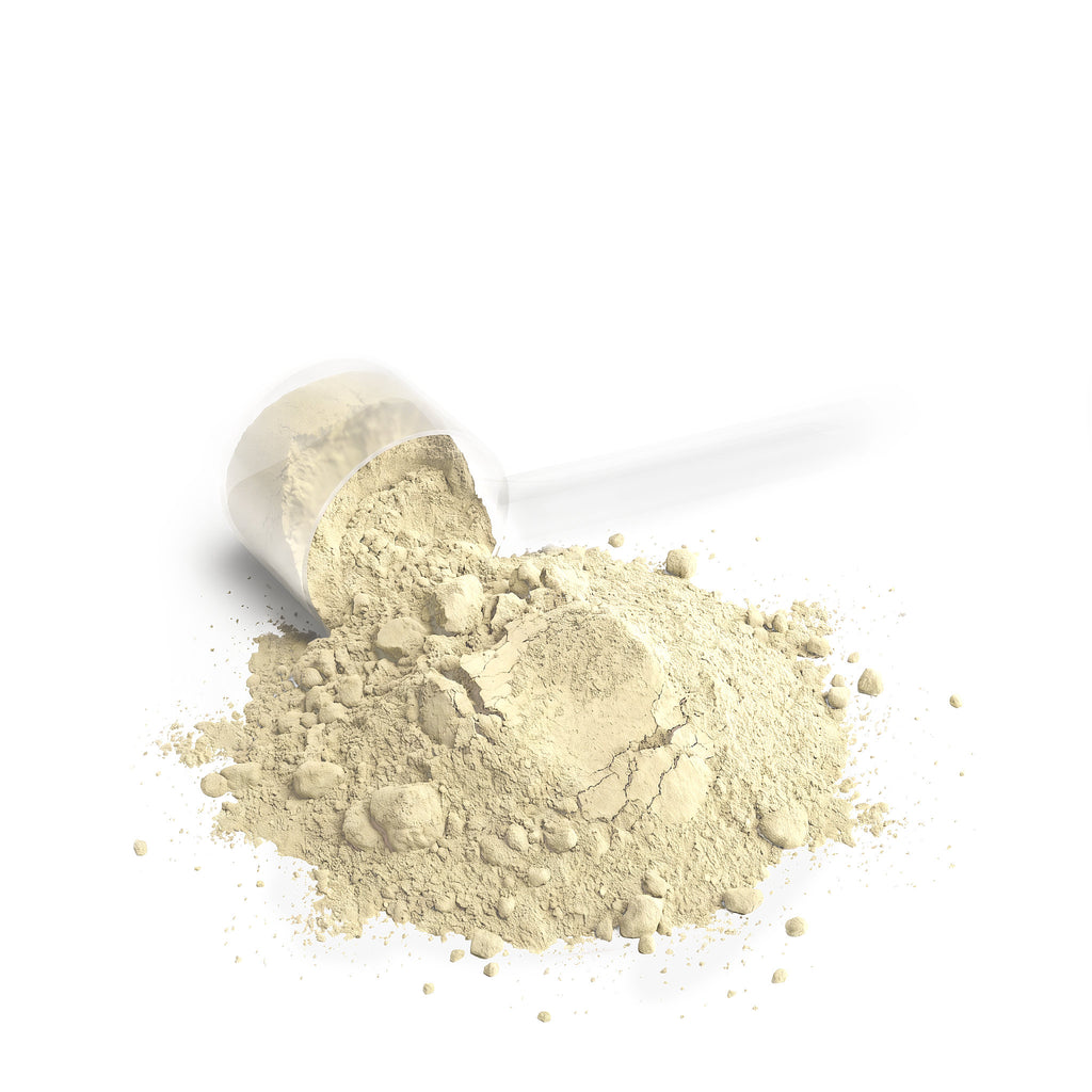 Performance Whey Protein Blend (Vanilla)